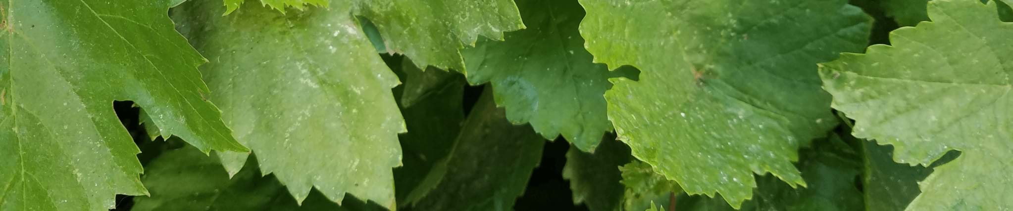 image01